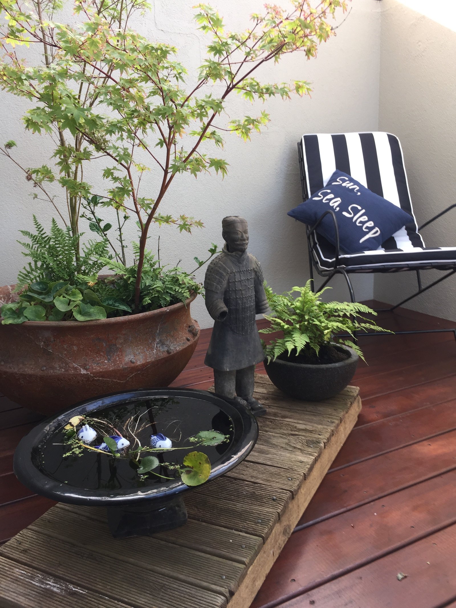 36 Amana Drive ALFREDTON 10