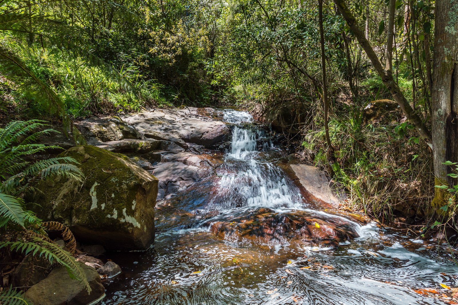 Real Estate and Property in 36 Anzac Road, Mount Macedon, VIC
