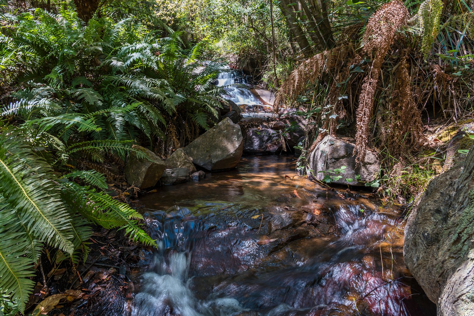 Real Estate and Property in 36 Anzac Road, Mount Macedon, VIC