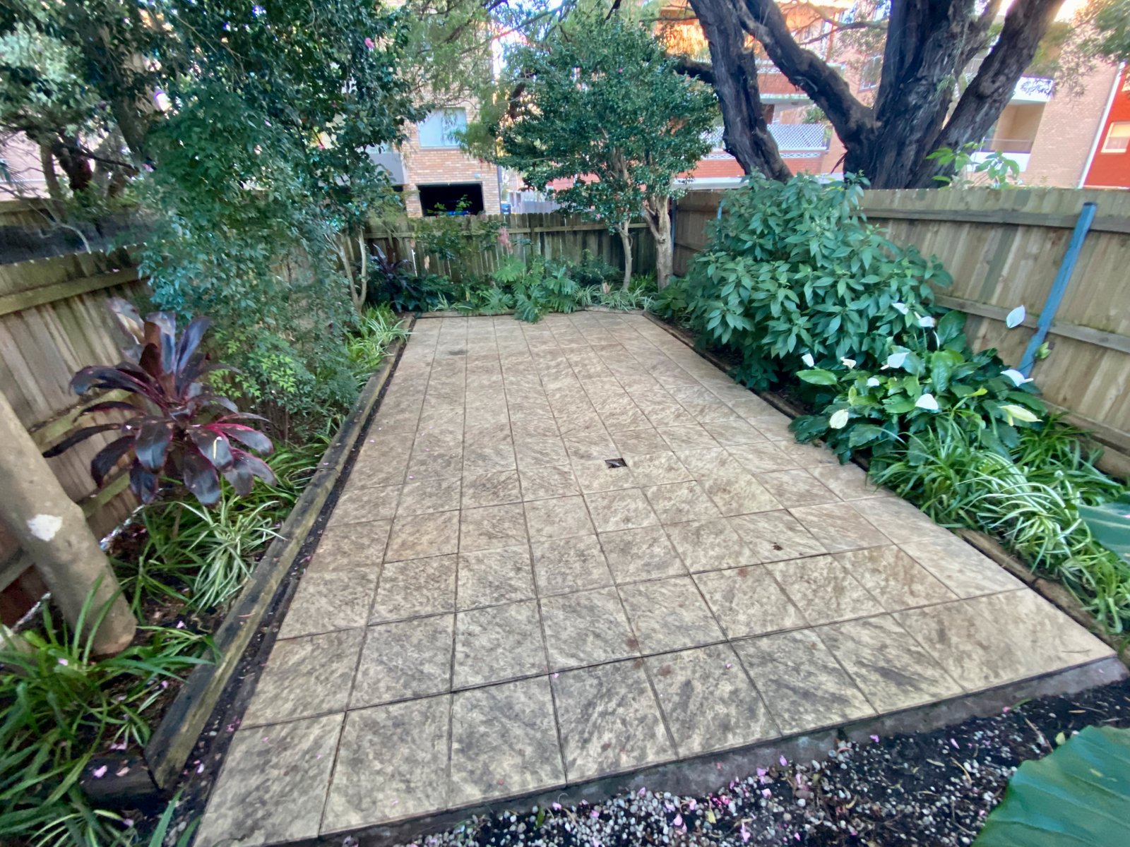 36 Arthur Street RANDWICK 16