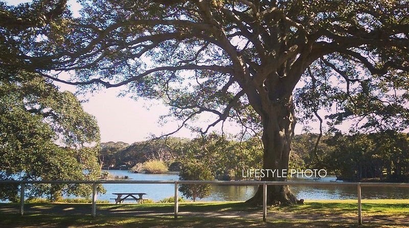 36 Arthur Street RANDWICK 22