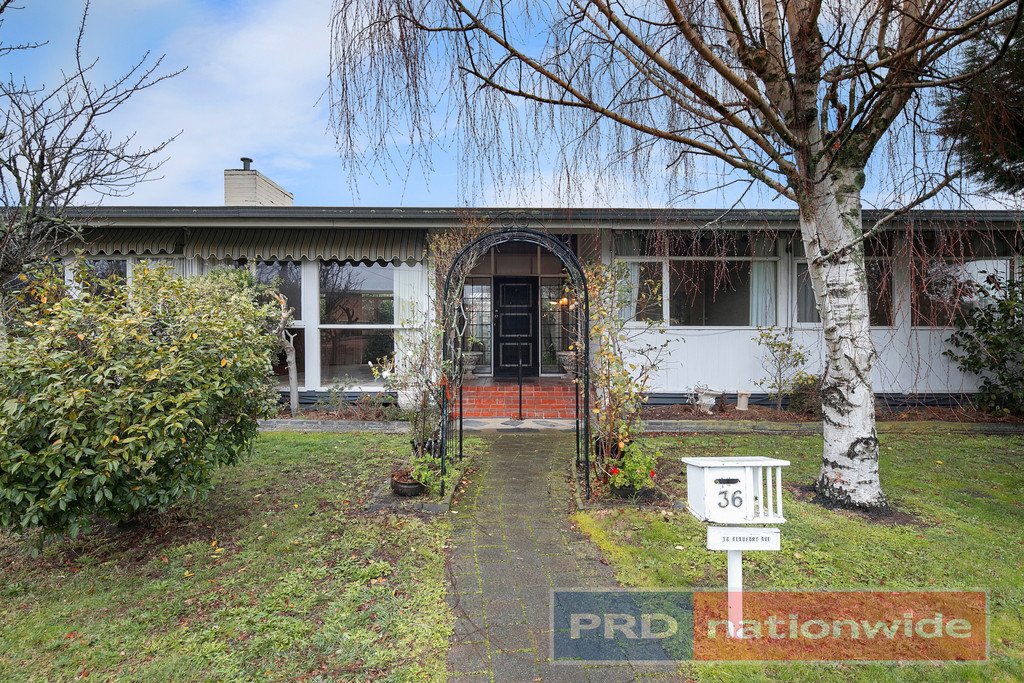 36 Beaufort Avenue ALFREDTON 1