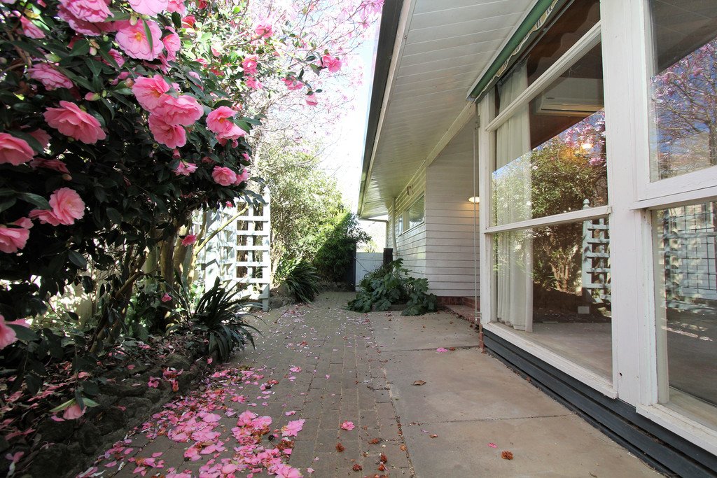 36 Beaufort Avenue ALFREDTON 17