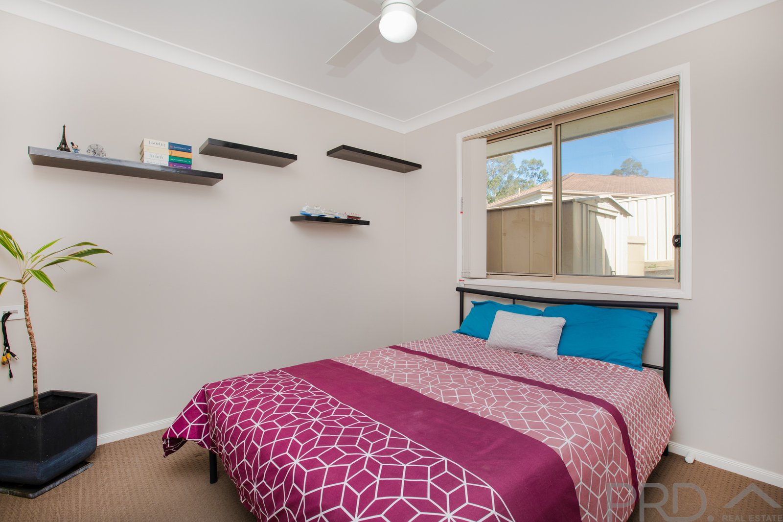 36 Brigantine Street RUTHERFORD 14