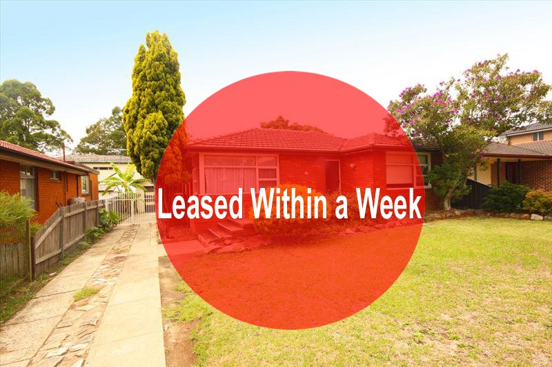 36 Chester Rd  INGLEBURN 1