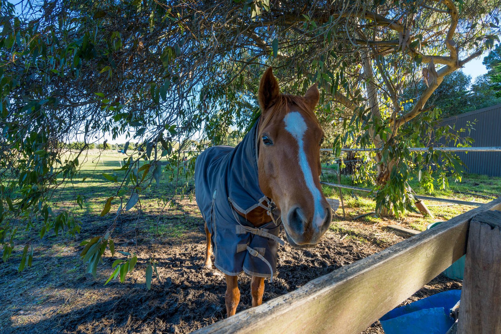 Real Estate and Property in 36 Dalrymple Road, Gisborne, VIC