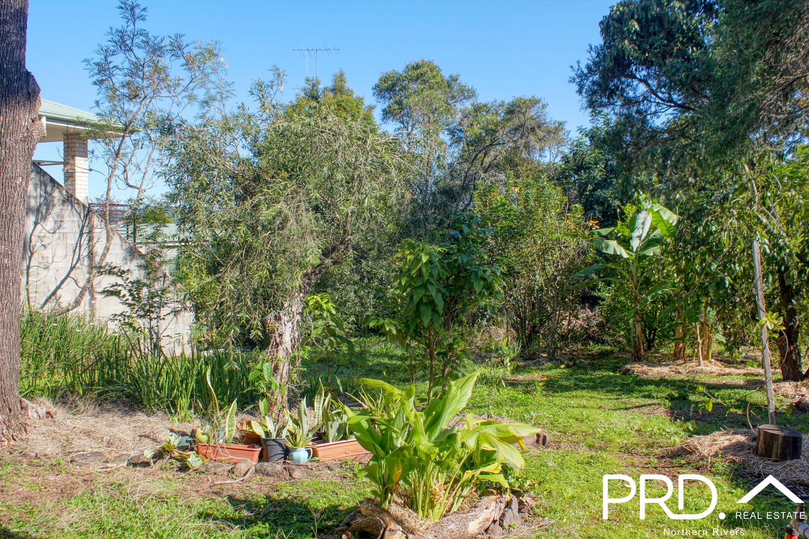 36 Groom Street KYOGLE 21