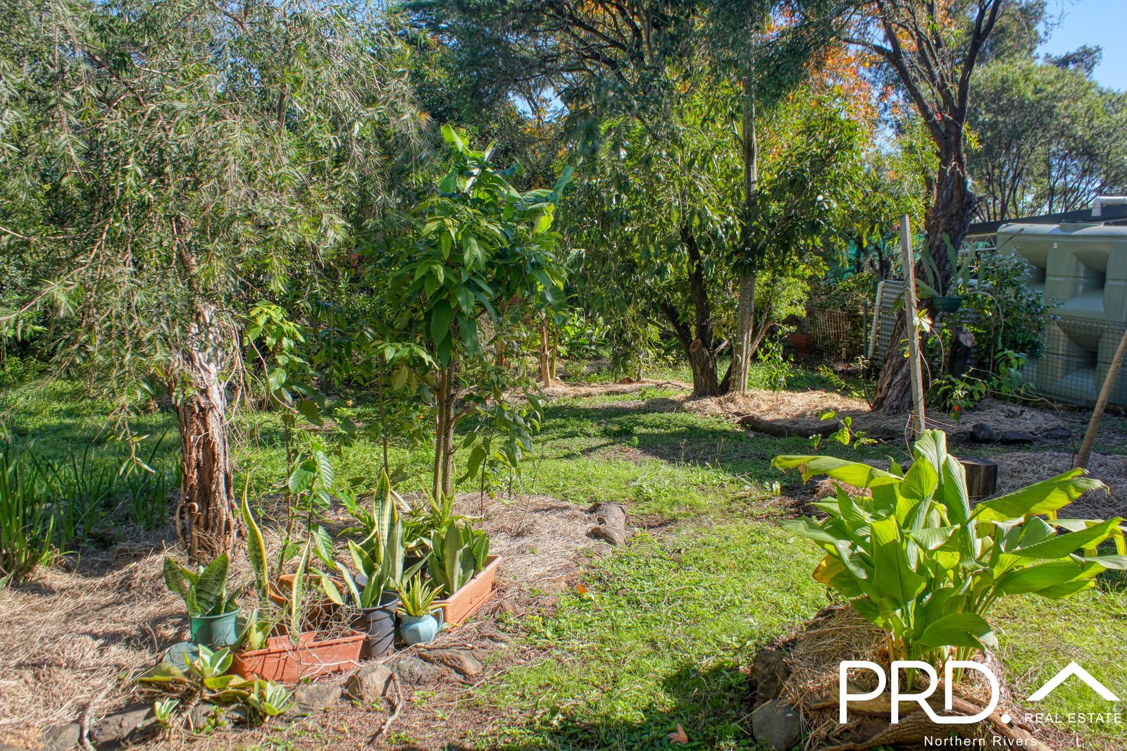 36 Groom Street KYOGLE 20