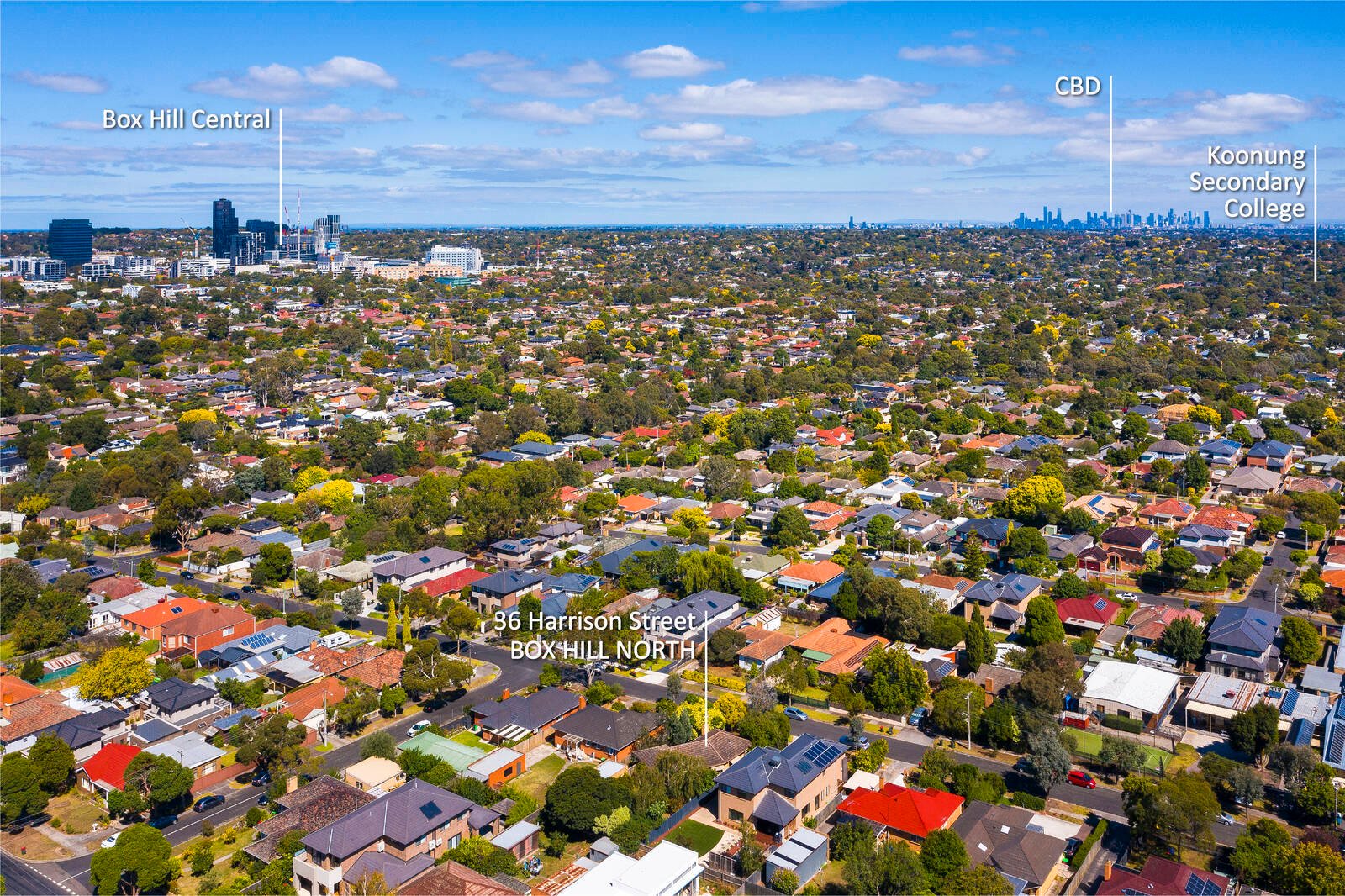 Real Estate and Property in 36 Harrison Street, Box Hill North, VIC