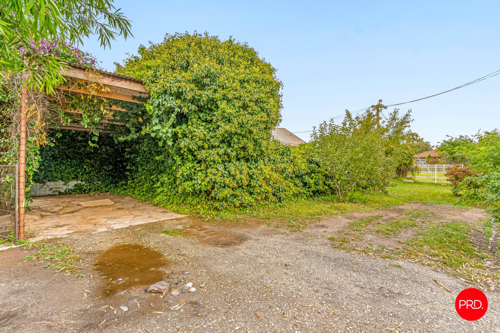 36 Havilah Road LONG GULLY 11
