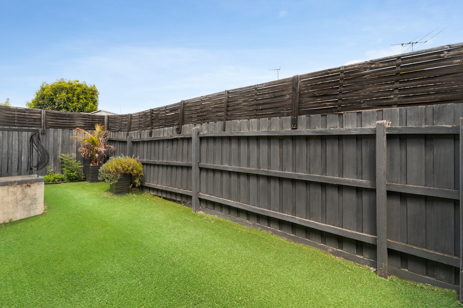 Gallery: 3/6 Haynes Street