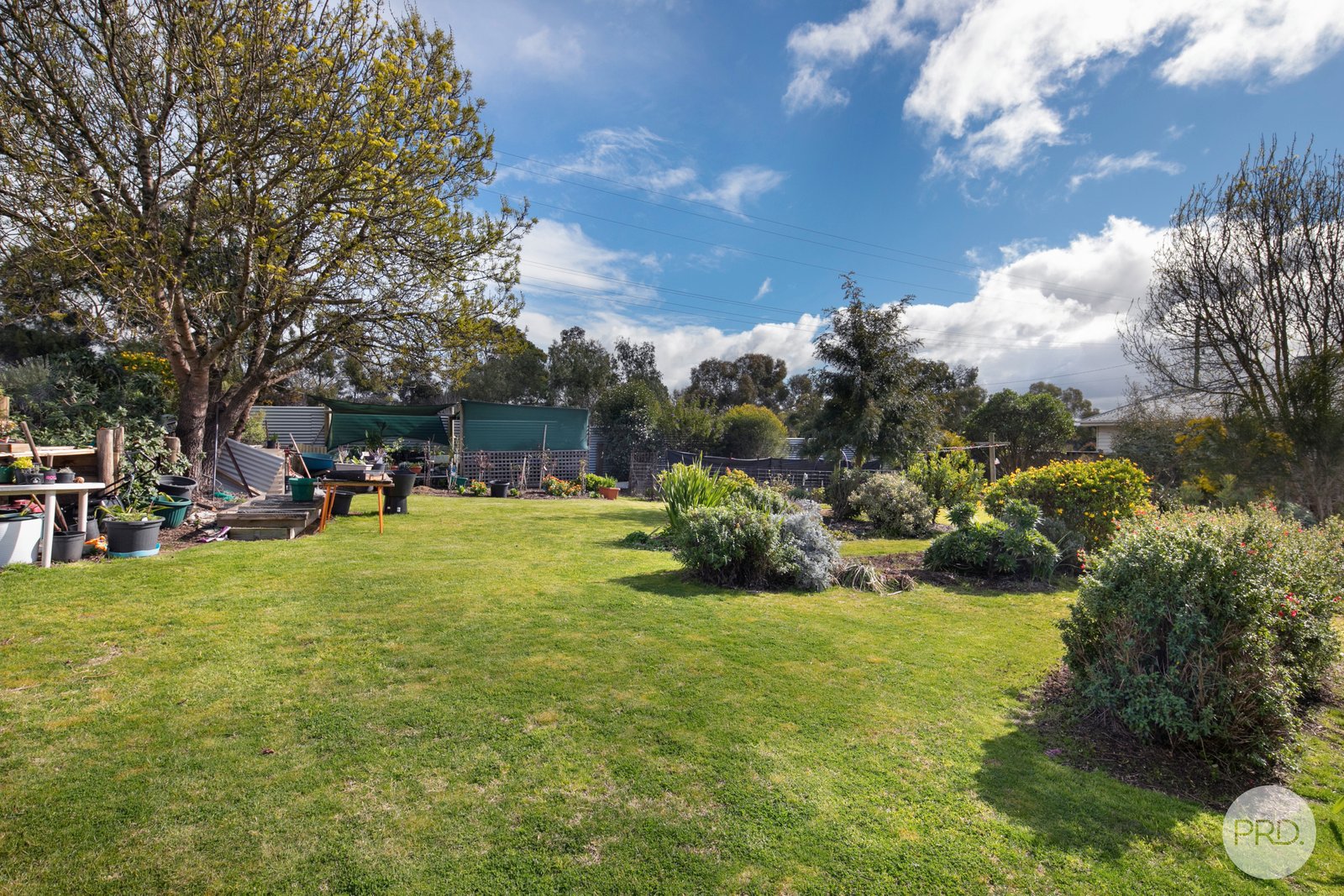 36 High Street LISMORE 8