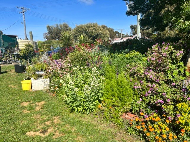 36 High Street LISMORE 19