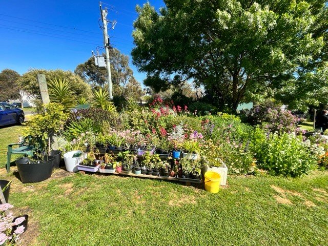 36 High Street LISMORE 20