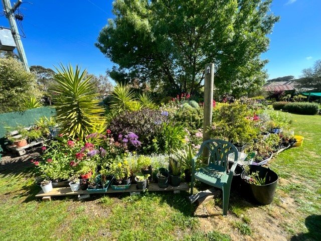 36 High Street LISMORE 21