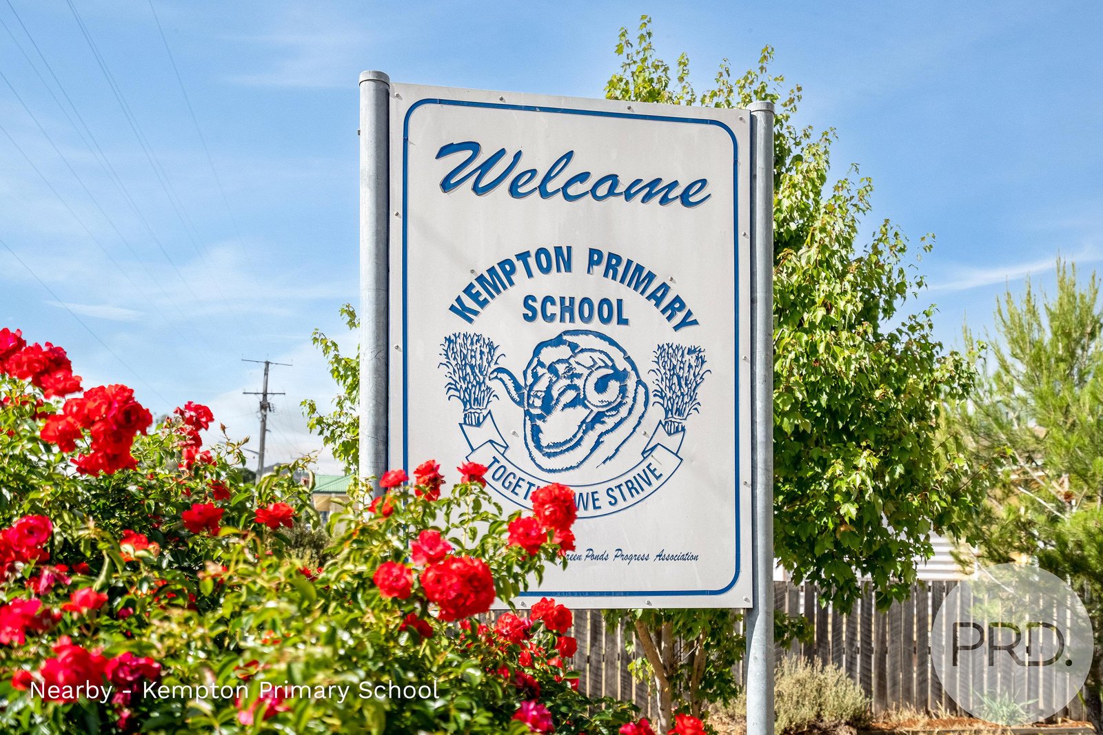 36 Louisa Street KEMPTON 19