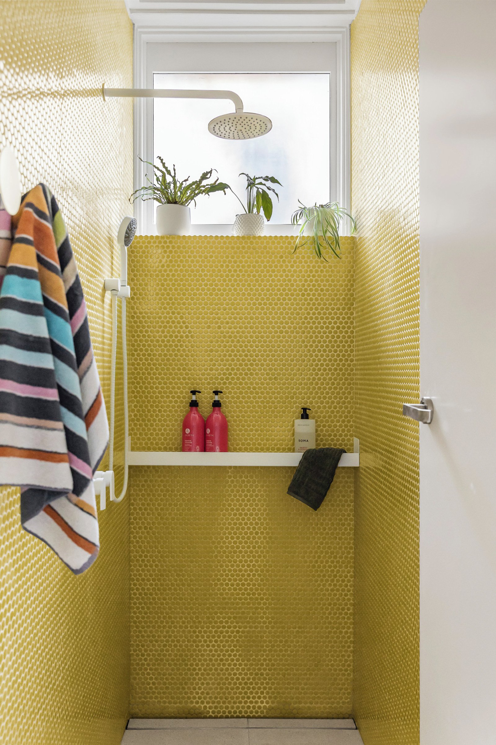 36 Martin Street, Brighton, 3186