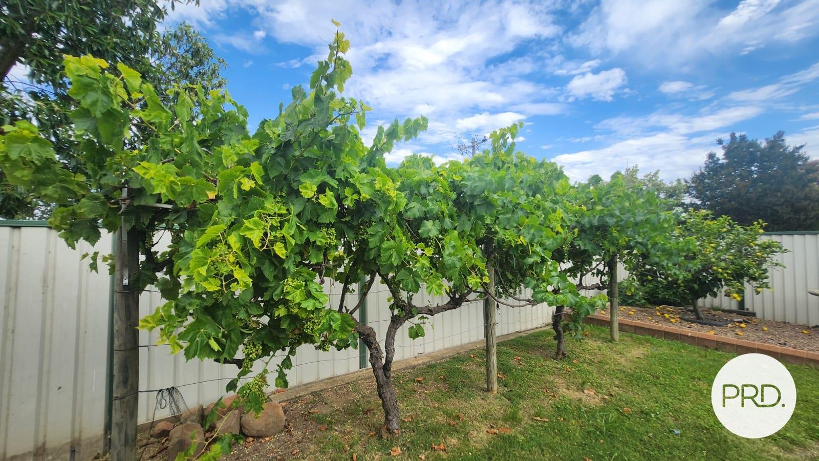 36 Meaklim Street SHEPPARTON 28