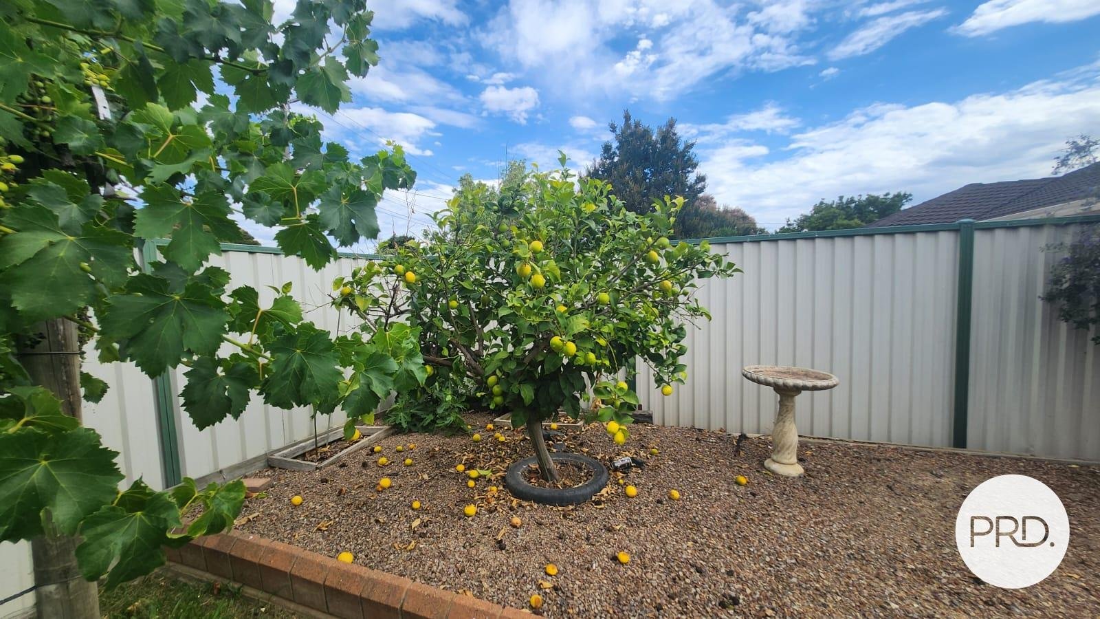 36 Meaklim Street SHEPPARTON 29