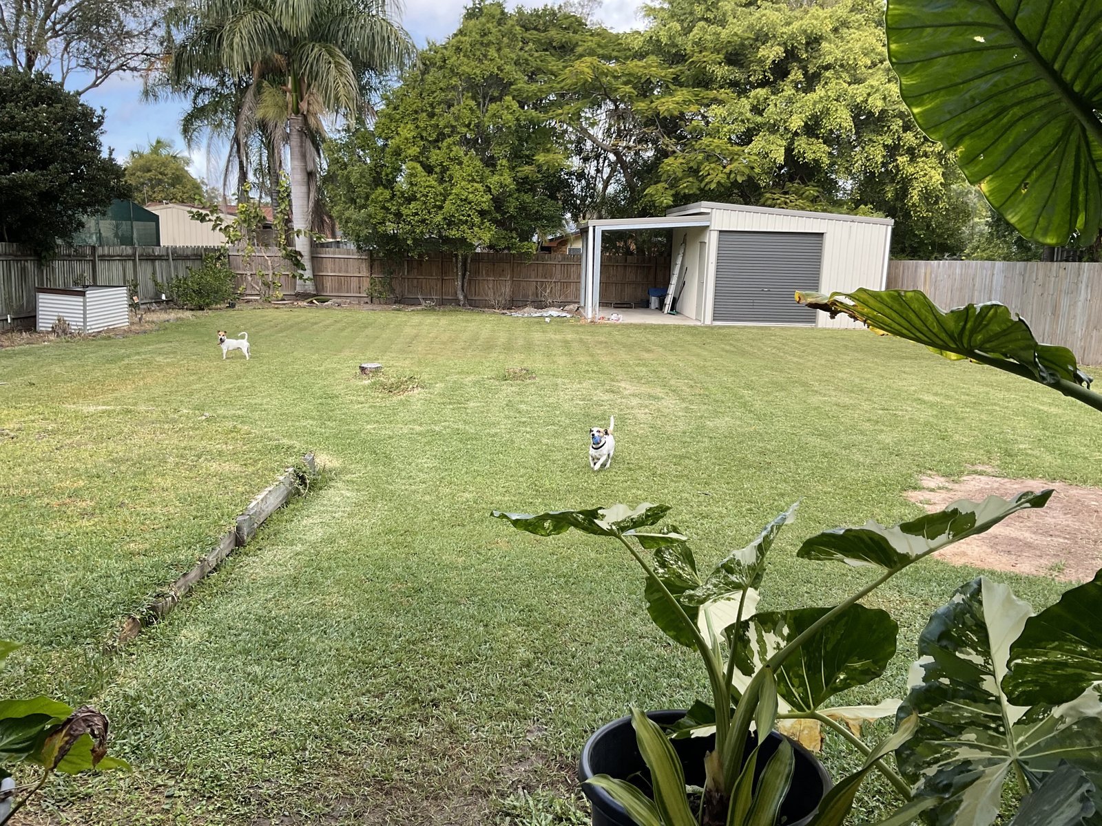 36 Melaleuca Crescent KAWUNGAN 10