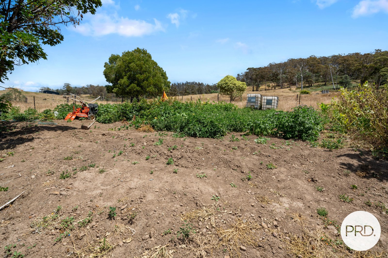 36 Moores Road LACHLAN 24
