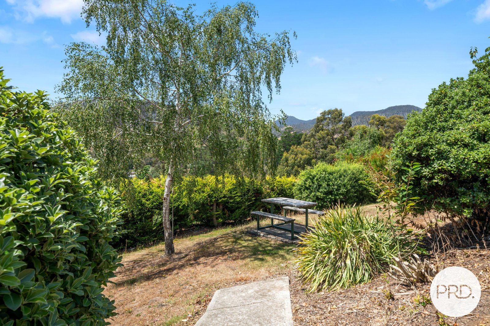 36 Moores Road LACHLAN 25