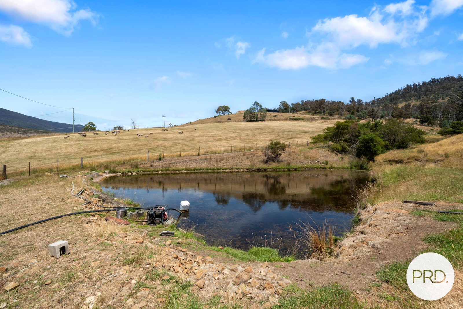 36 Moores Road LACHLAN 26