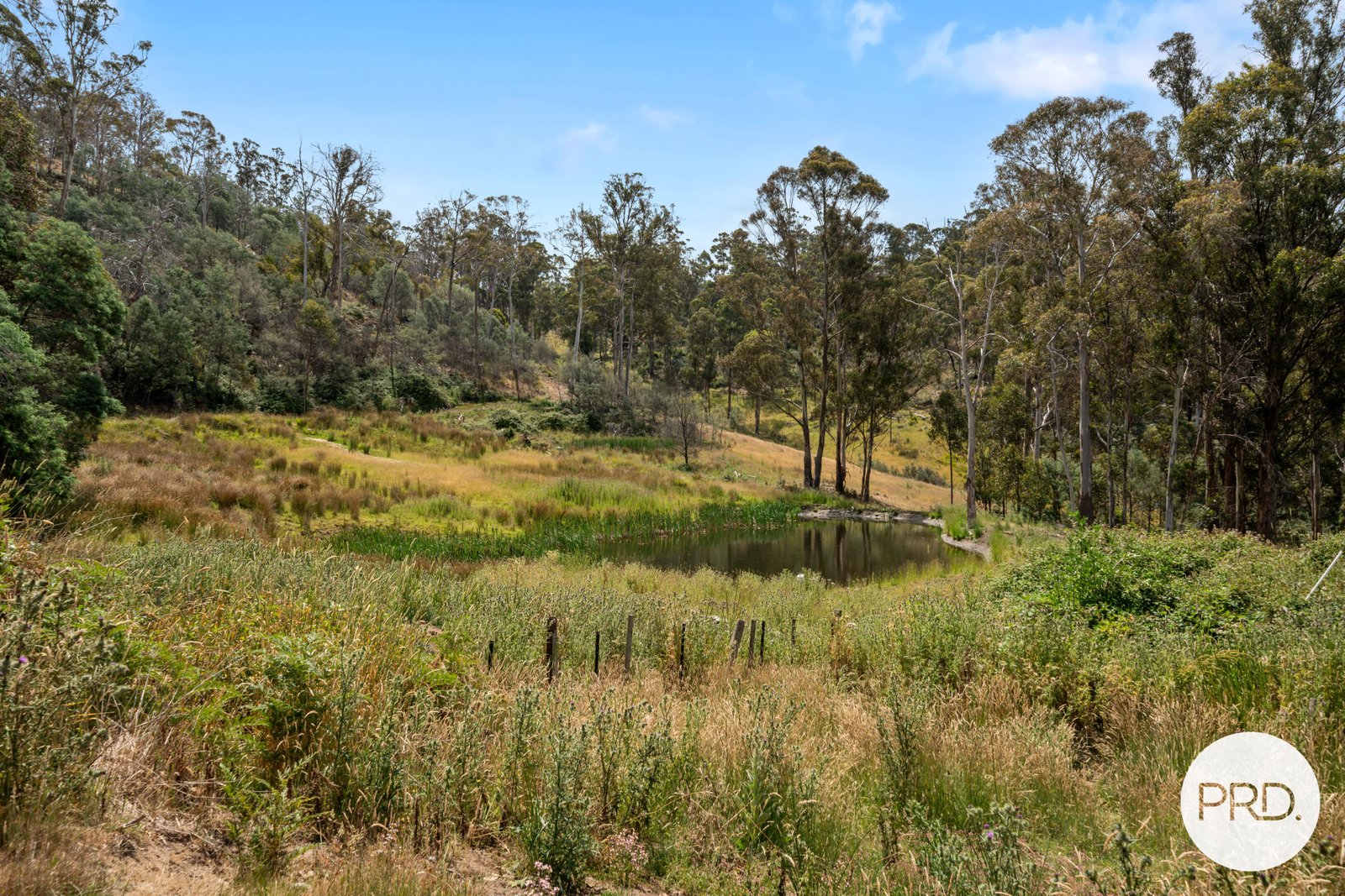 36 Moores Road LACHLAN 27