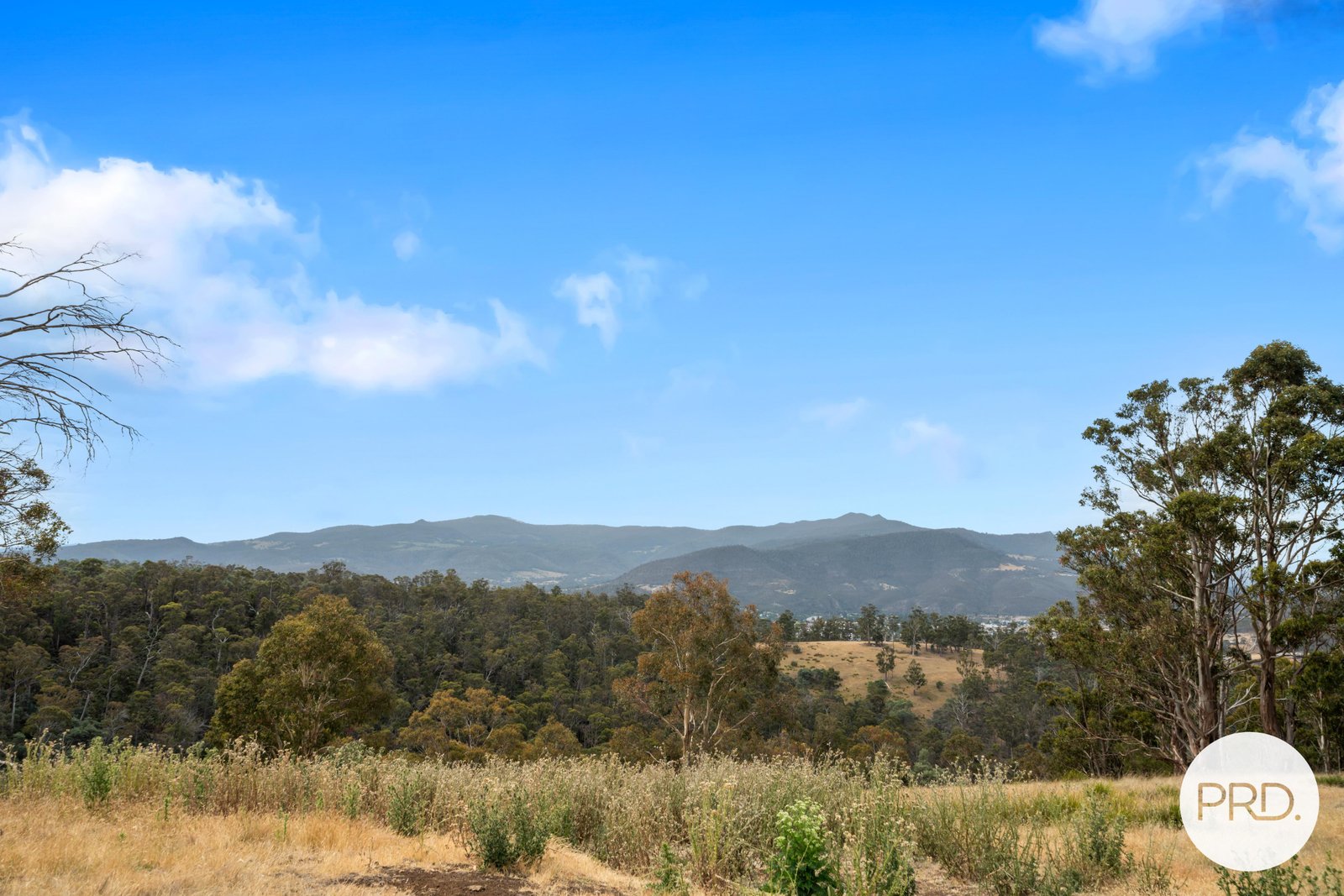 36 Moores Road LACHLAN 28