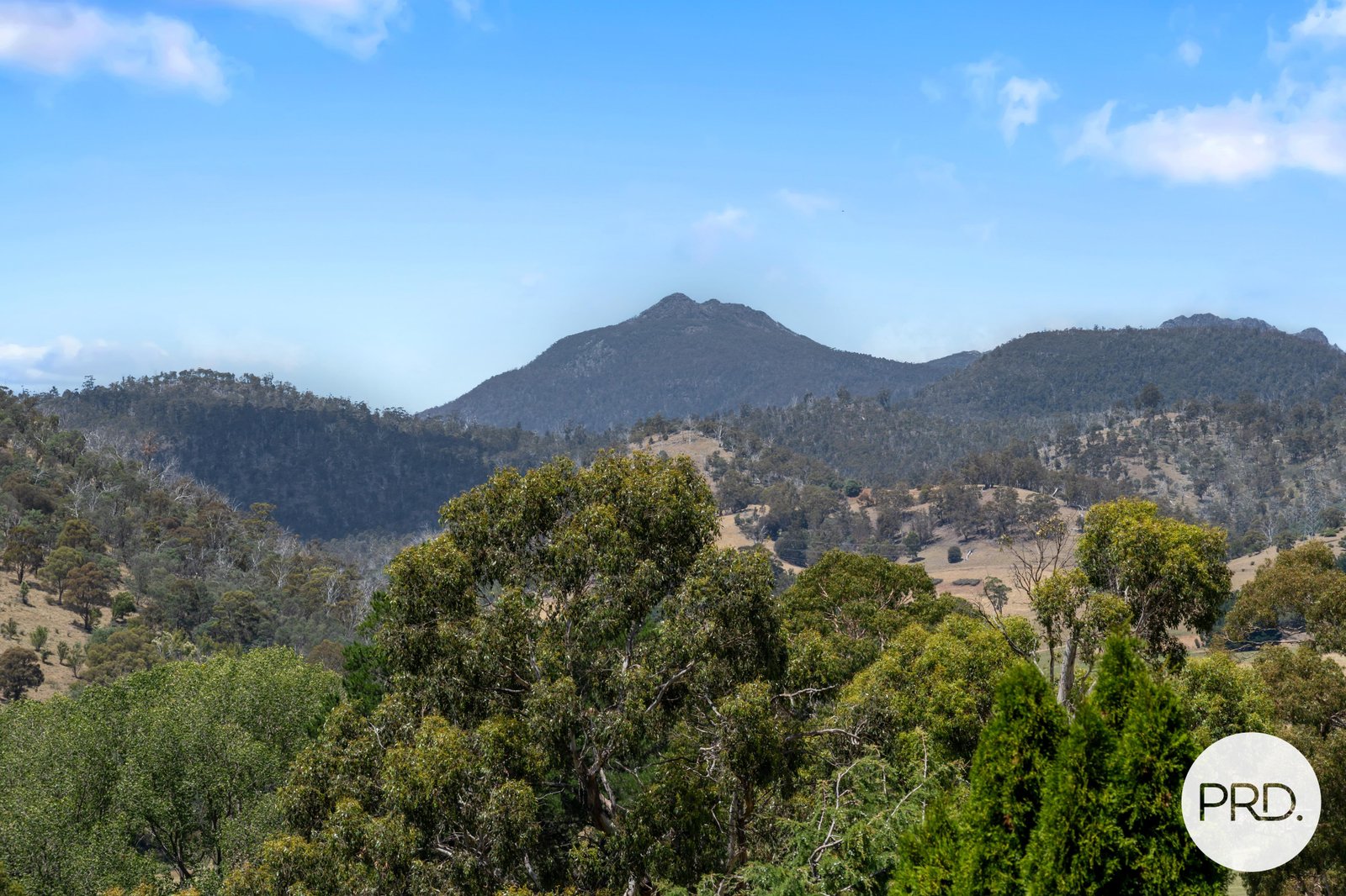 36 Moores Road LACHLAN 32