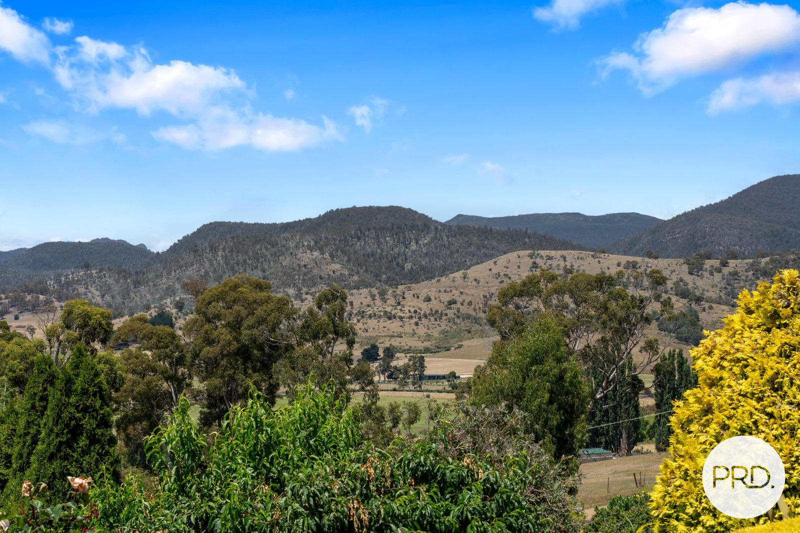 36 Moores Road LACHLAN 33