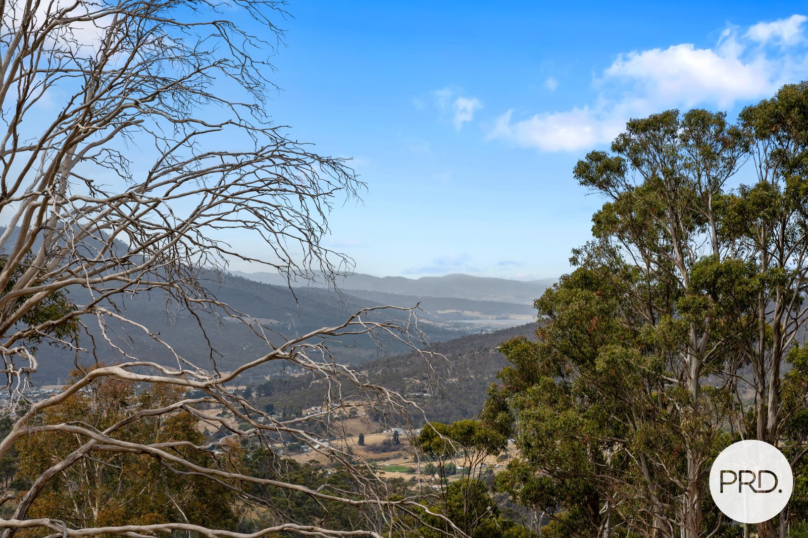 36 Moores Road LACHLAN 35