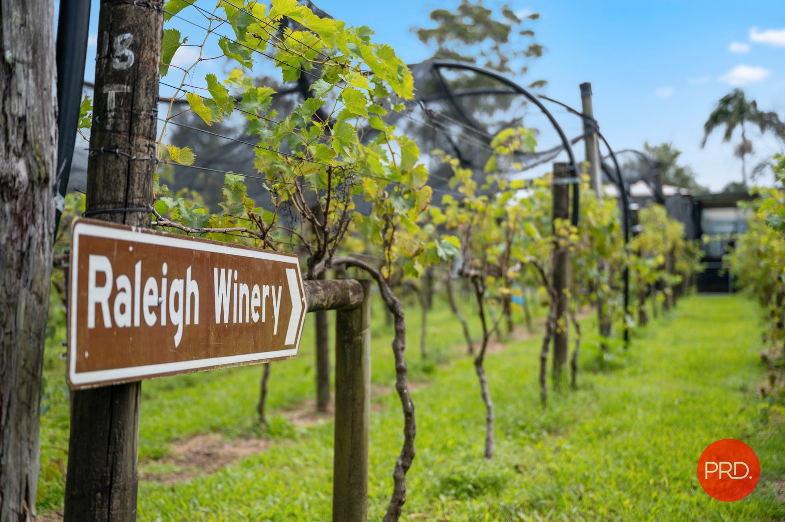 36 Queen Street RALEIGH 17