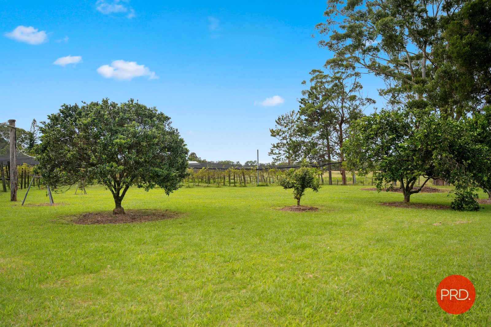 36 Queen Street RALEIGH 21