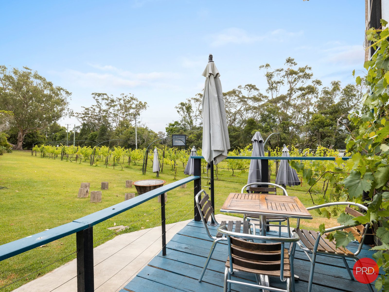 36 Queen Street RALEIGH 27