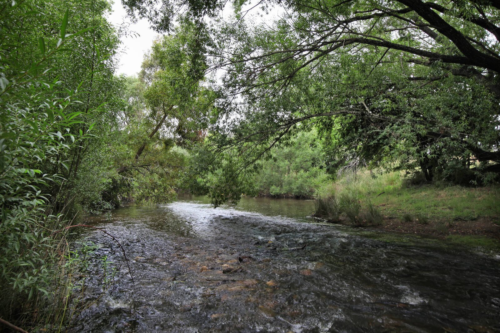 Real Estate and Property in 36 Reservoir Road, Lauriston, VIC