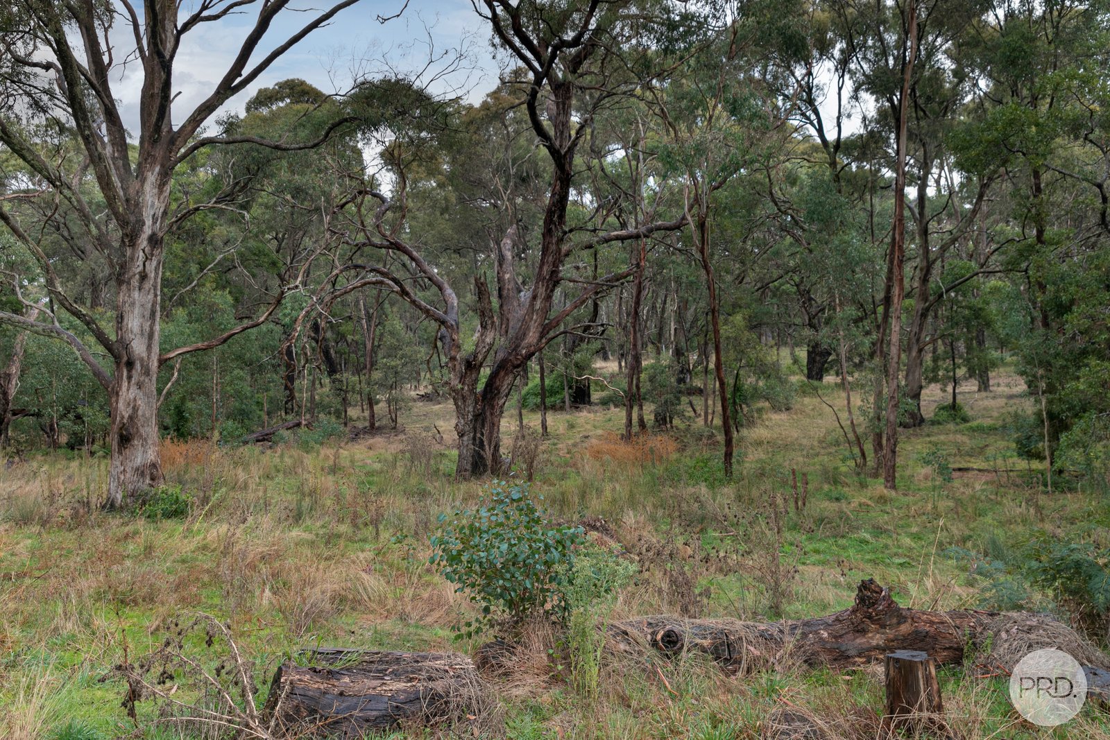 36 Rosella Road LAL LAL 17