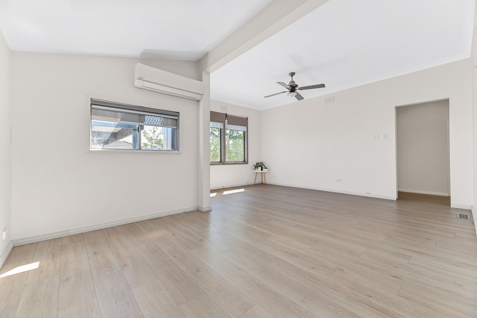 Gallery: 36 Salisbury Road