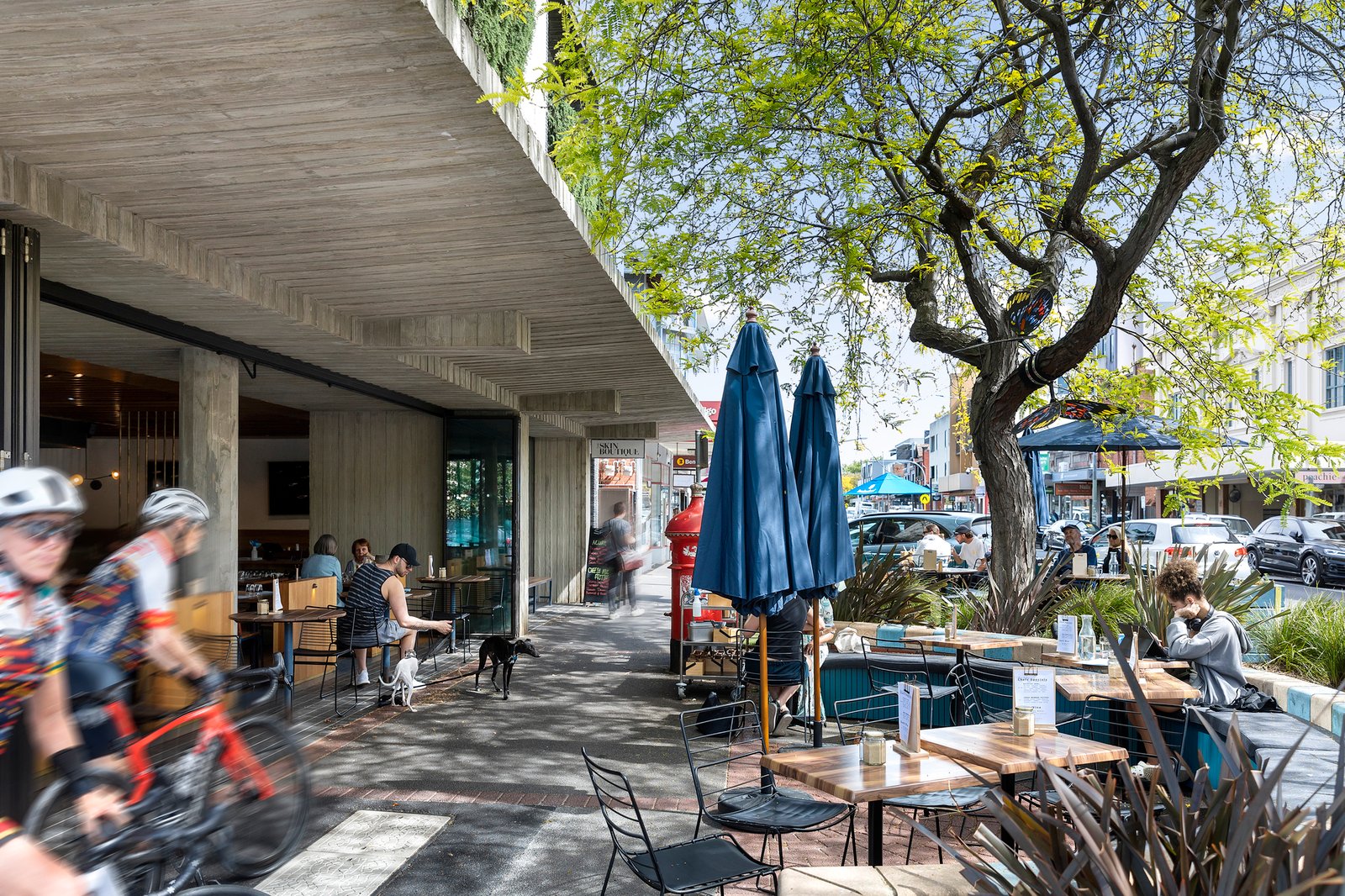 Real Estate and Property in 36 Selwyn Avenue, Elwood, VIC