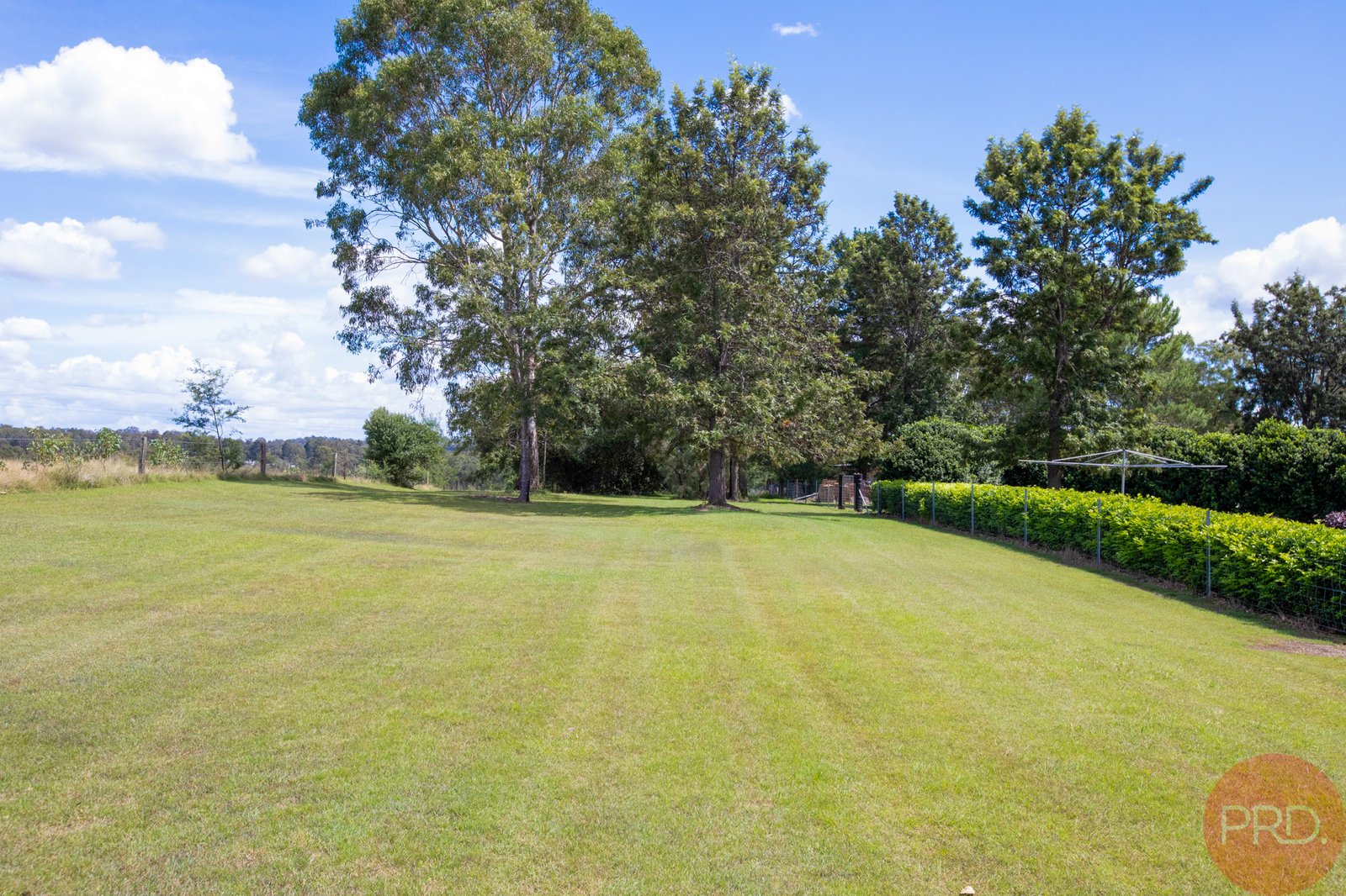 36 White Street GRETA 35