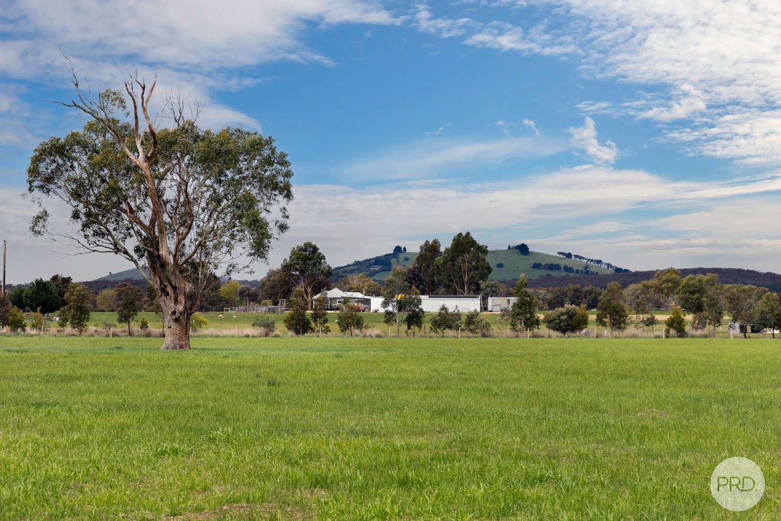 360 Clunes-Creswick Road CRESWICK 7