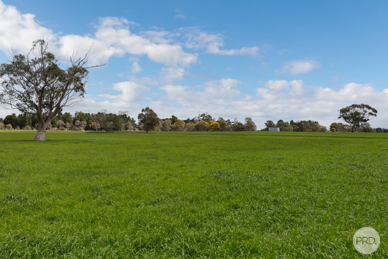 360 Clunes-Creswick Road CRESWICK 12