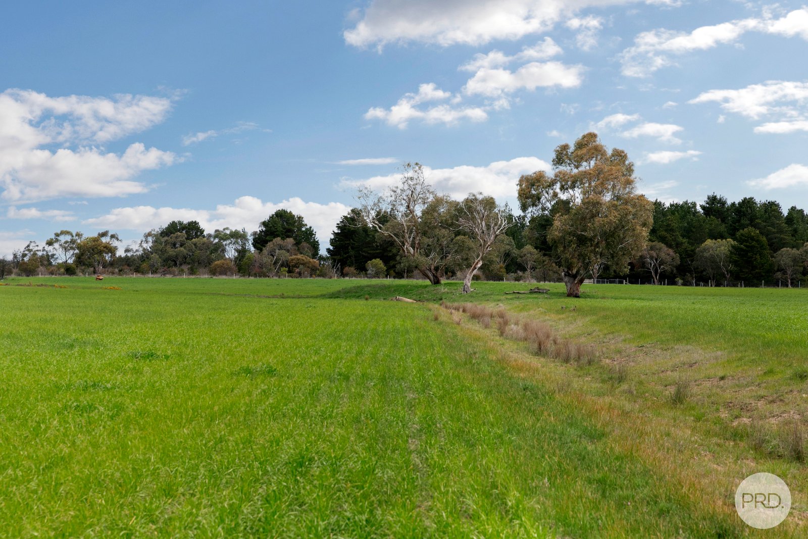 360 Clunes Road CRESWICK 10