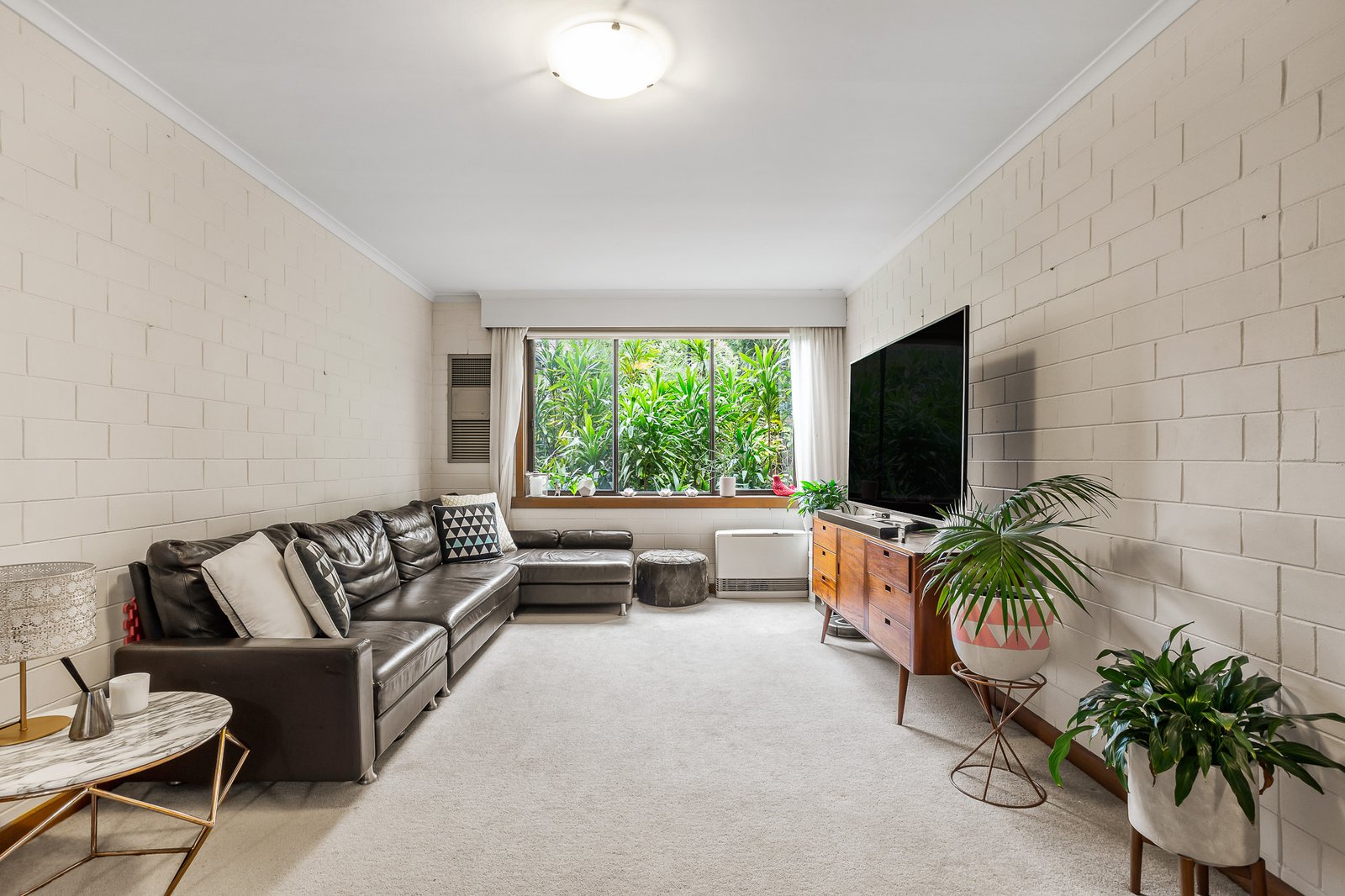 Gallery: 3/60 Cole Street