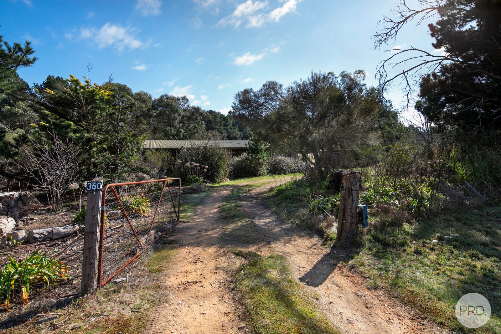 360 Sago Hill Road HADDON 8