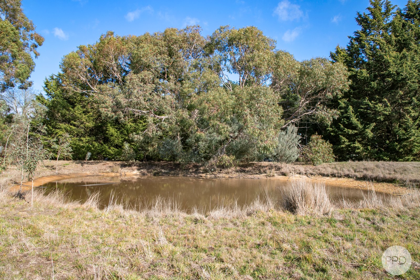 360 Sago Hill Road HADDON 9