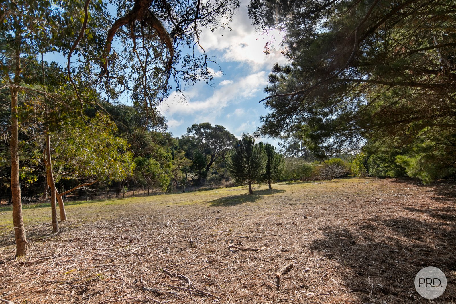 360 Sago Hill Road HADDON 11
