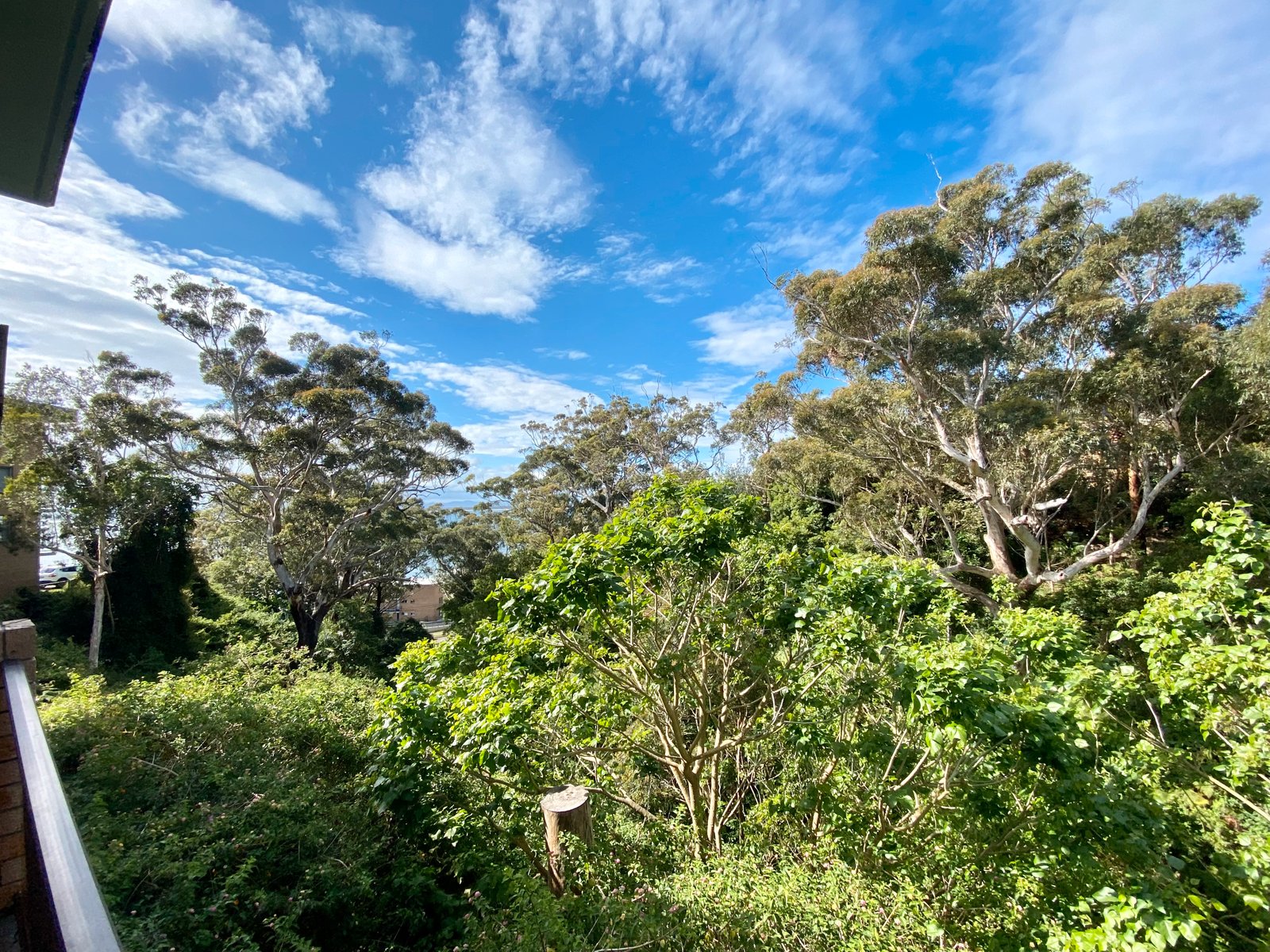 3/61 Ronald Avenue SHOAL BAY 16