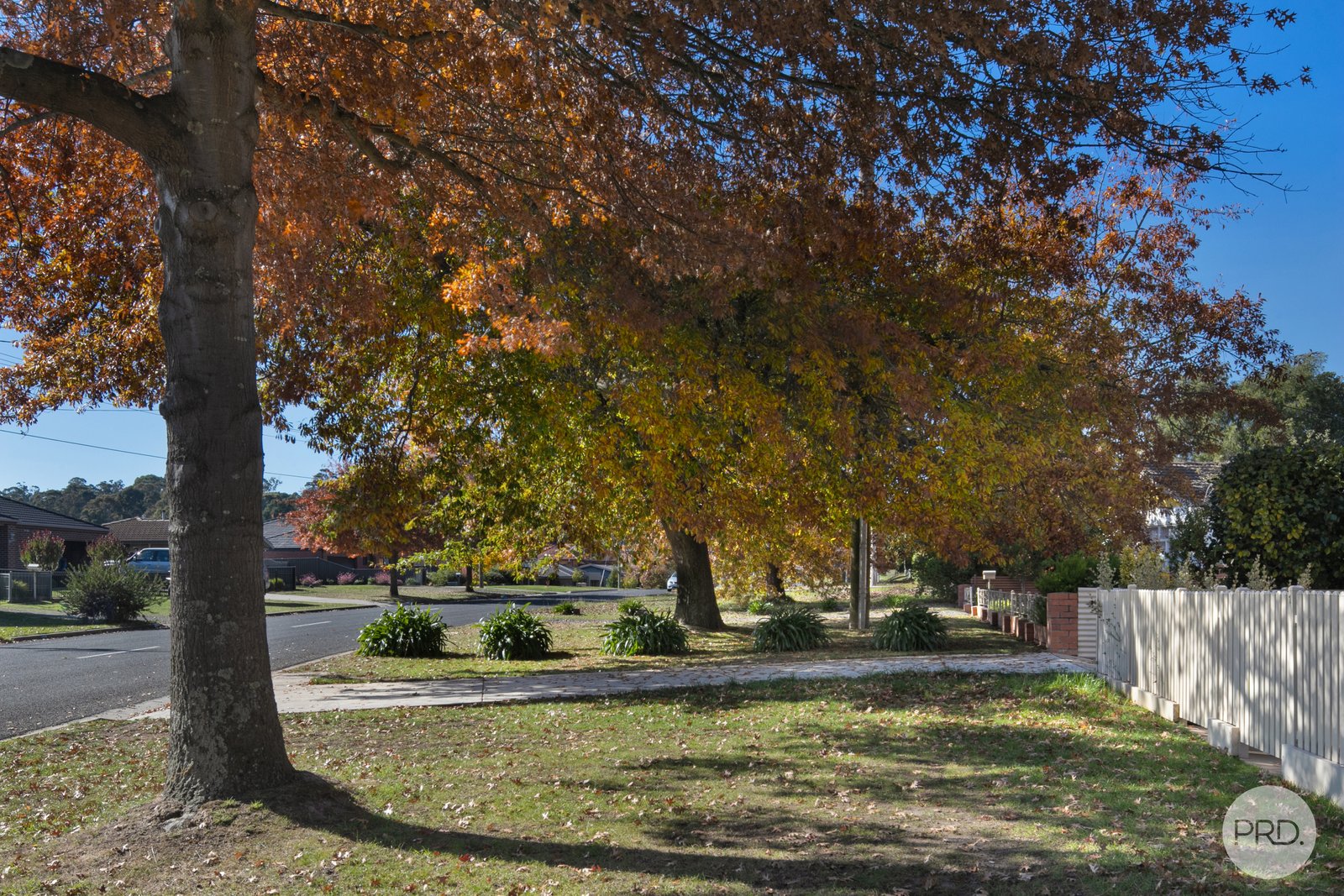 3/610 Wilson Street CANADIAN 12