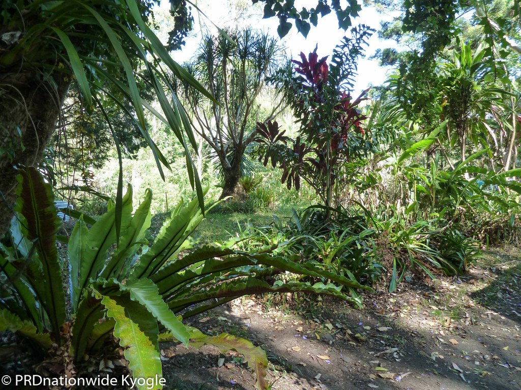 362 Boundary Creek Road, Bentley  KYOGLE 5